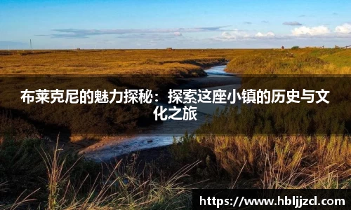 布莱克尼的魅力探秘：探索这座小镇的历史与文化之旅