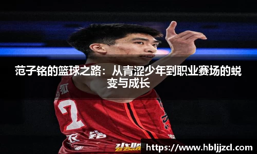 jn江南·体育登录入口